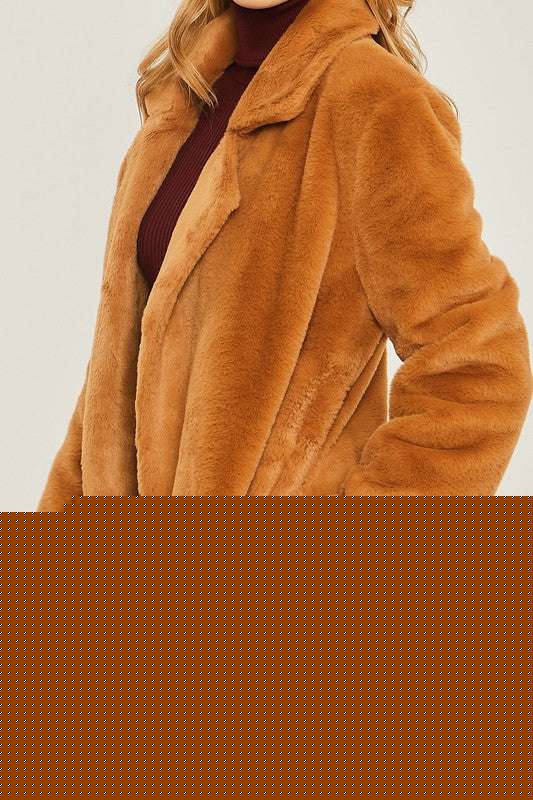 Woven Solid Teddy Collar Coat Meadeux